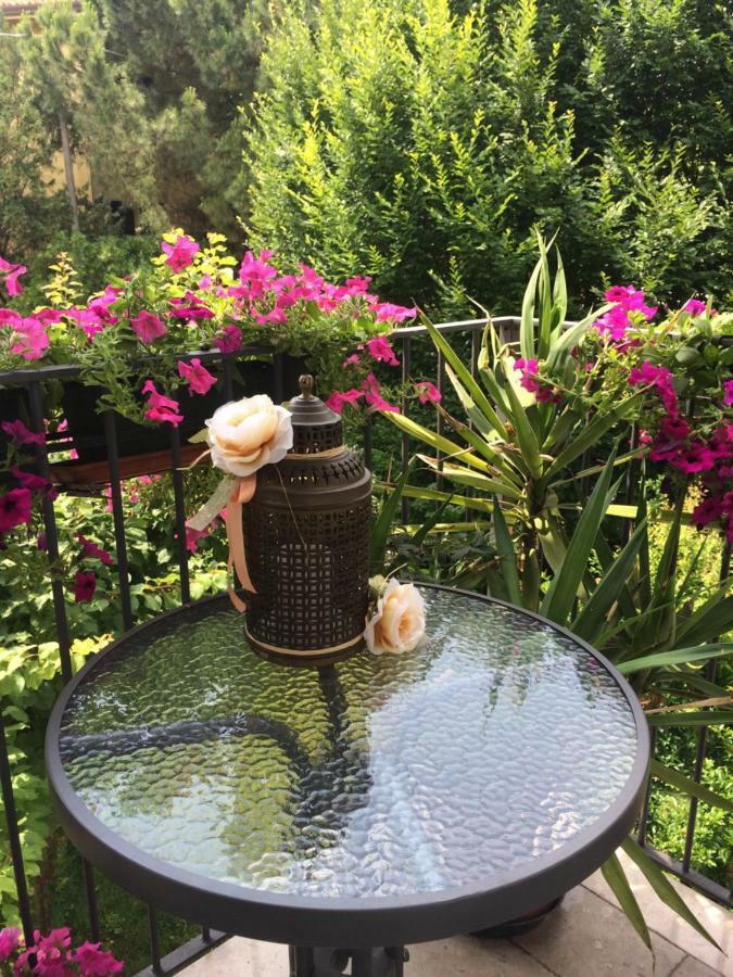 تريفيزو Bed & Breakfast Canova المظهر الخارجي الصورة